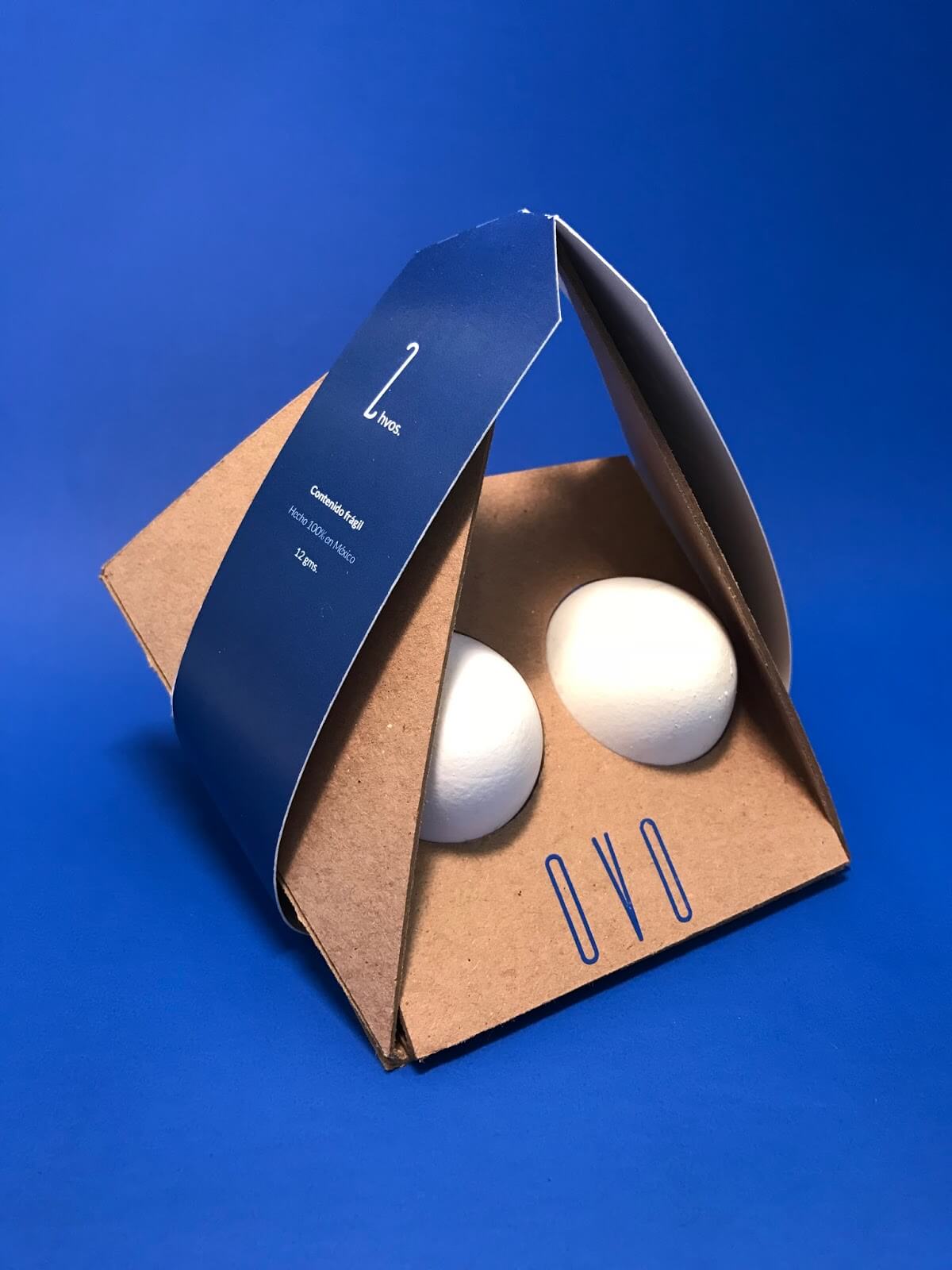 กล่องกระดาษ ธรรมดาโลกไม่จำ กล่องใส่ไข่สุดเจ๋งจากผลงานนักเรียน