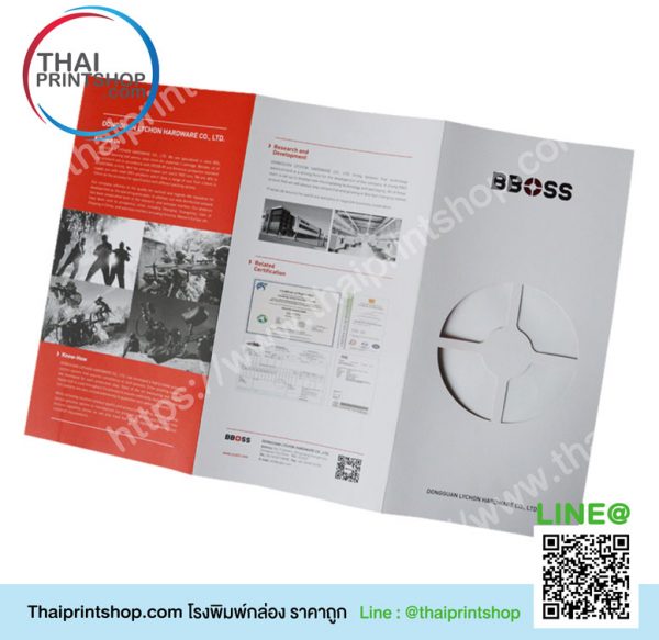 รับผลิตแผ่นพับ
