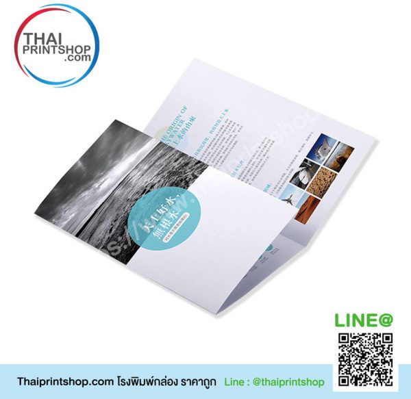 ออกแบบแผ่นพับ ราคา