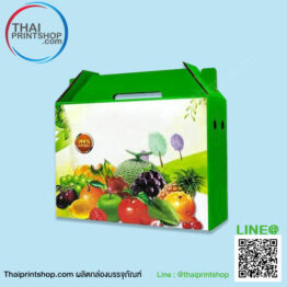 กล่องผลไม้ มีหูหิ้ว
