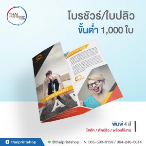 รับพิมพ์แผ่นพับโบรชัวร์ 02
