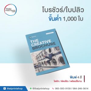 รับพิมพ์แผ่นพับโบรชัวร์ 01