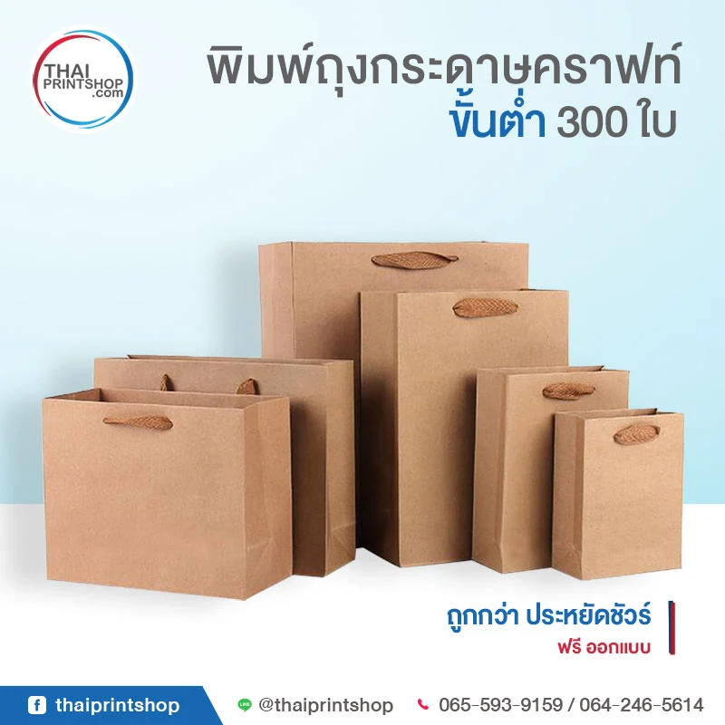 TPS-Product-Kraft Paper Bag-02