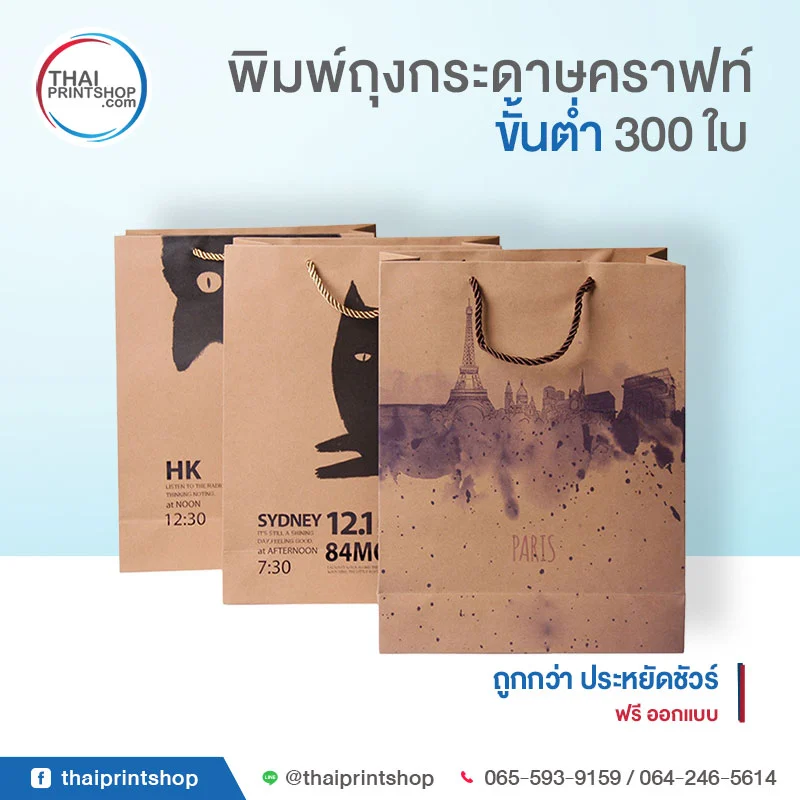 TPS-Product-Kraft Paper Bag-03