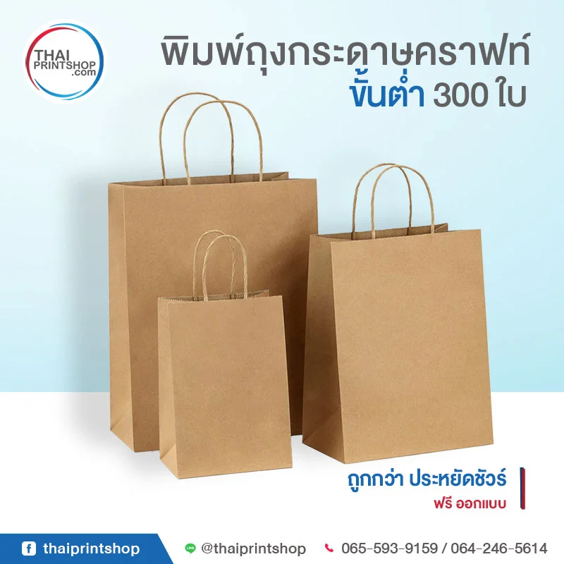 TPS-Product-Kraft Paper Bag-05