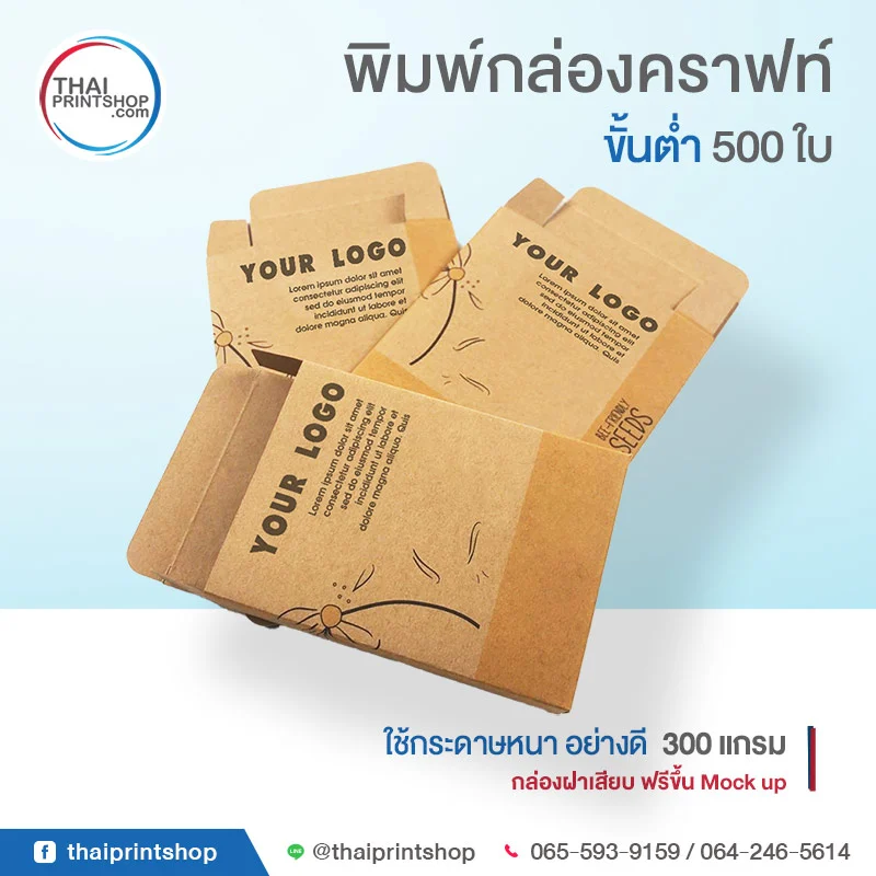 TPS-Product-KraftBox-01
