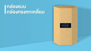 รู้ทันเทรนด์กล่องบรรจุภัณฑ์ กล่องแพคเกจจิ้ง ที่มาแรงในปี 2021-2022 - 3