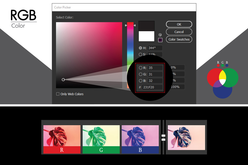 Color Mode โหมดสี CMYK กับ RGB คืออะไร เกี่ยวข้องอะไรกับงานพิมพ์ - 03