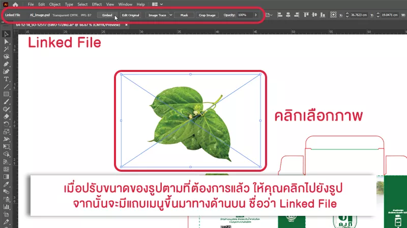 สอนวิธีฝังภาพในไฟล์อาร์ตเวิร์ค ในงานพิมพ์ต่างๆก่อนส่งโรงพิมพ์ - 03