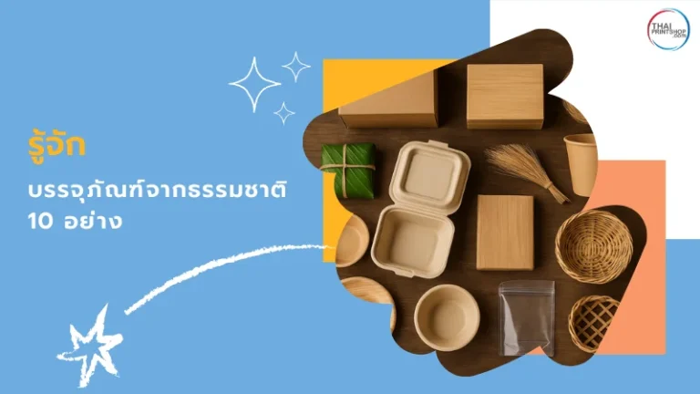 ตัวอย่างบรรจุภัณฑ์จากธรรมชาติ 10 อย่าง เช่น ใบบัว กล่องไม้ ไผ่ ใยพืช และกระดาษคราฟท์